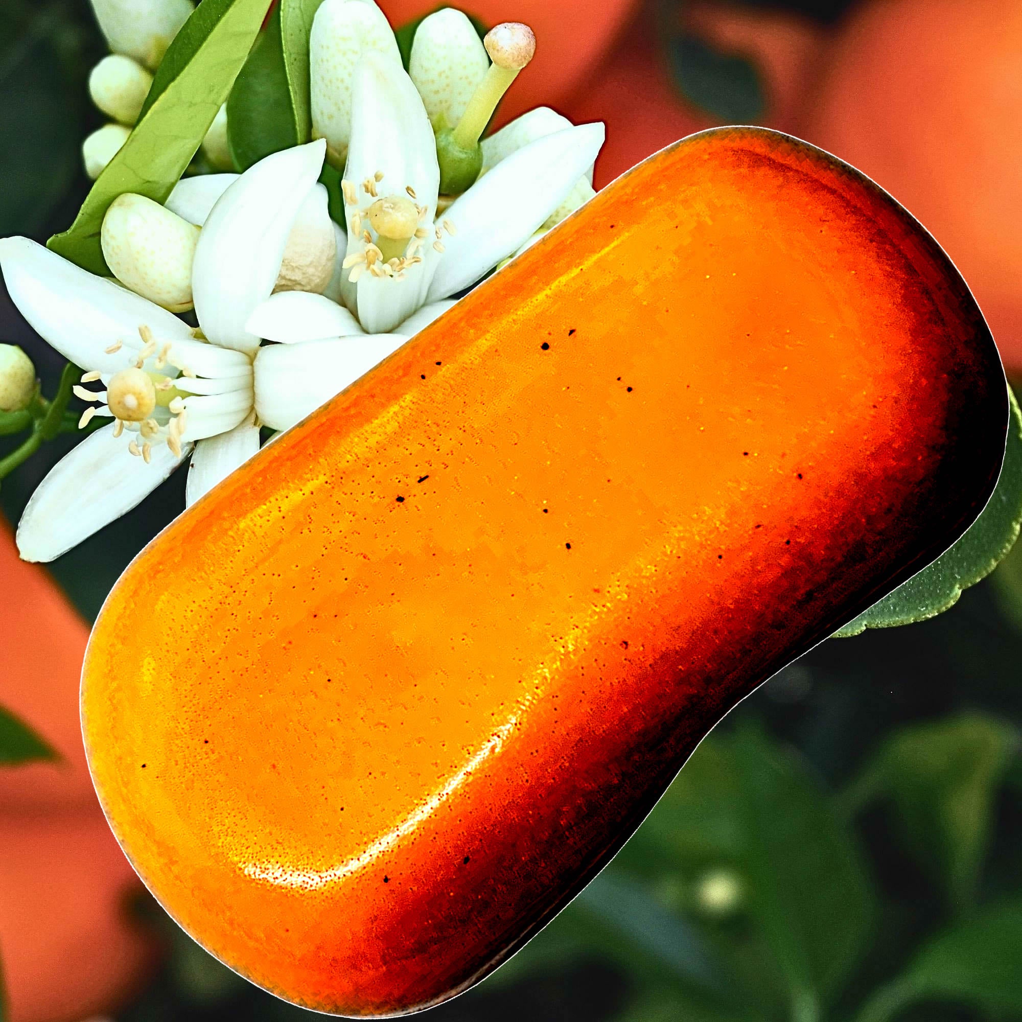 Patchouli Neroli Blossoms Vegan Soap Bars Plant-Based Cruelty-Free Handcrafted