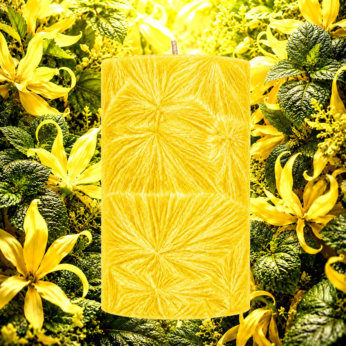 Patchouli & Ylang Ylang Pillar Candle