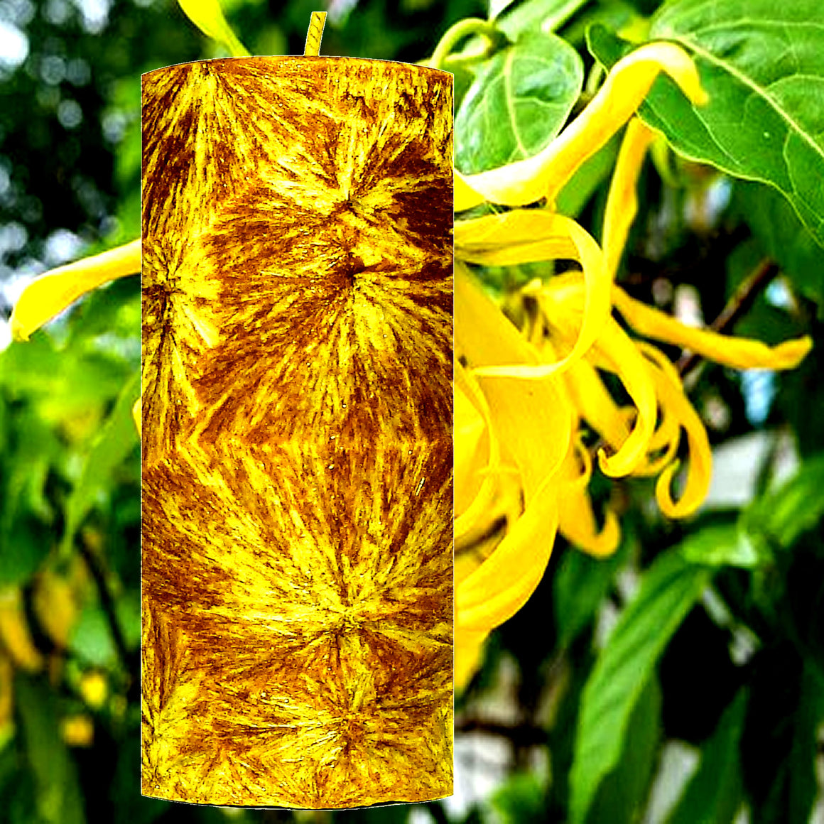 Patchouli & Ylang Ylang Pillar Candle – Plant-Based, Eco-Friendly, Vegan, Cruelty Free