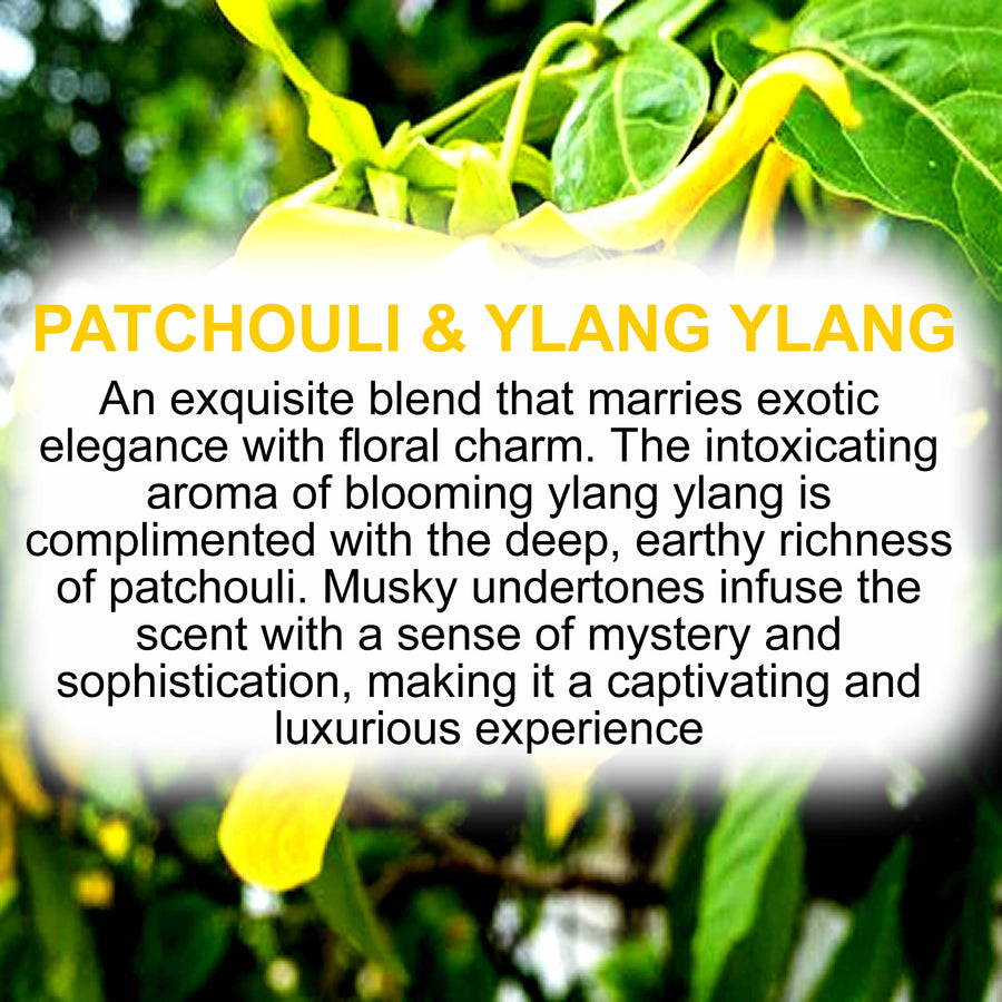 Patchouli & Ylang Ylang Diffuser Fragrance Oil Refill – vegan, cruelty-free featuring earthy patchouli and sensual exotic ylang ylang florals, handmade in Australia.