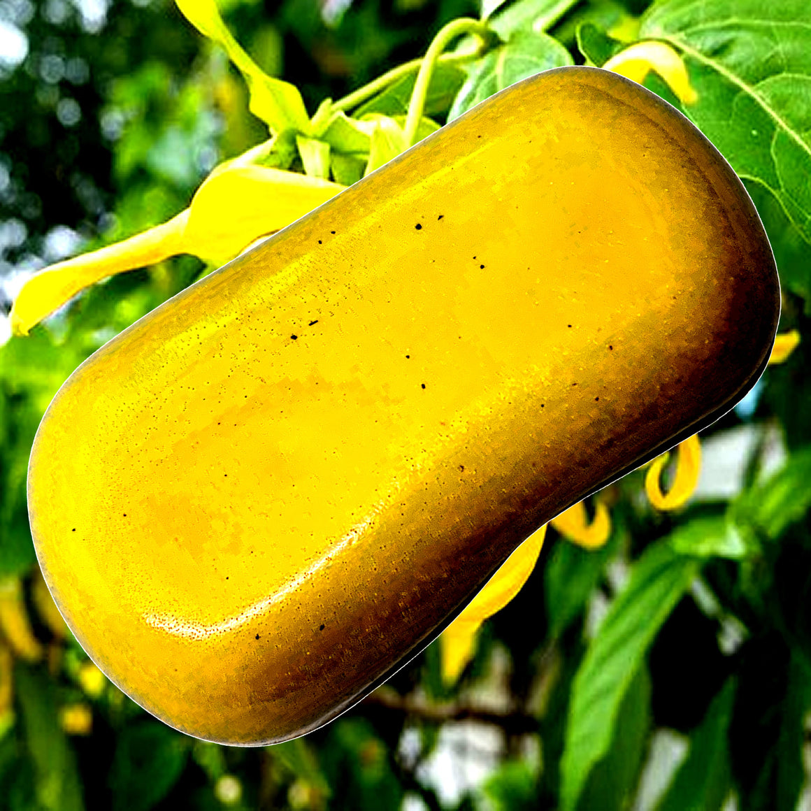 Patchouli & Ylang Ylang Vegan Soap Bars Plant-Based Cruelty-Free Handcrafted