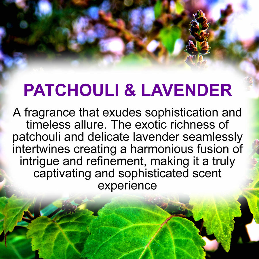 Patchouli & Lavender Soy Candle Melt Shot Pots – Plant-Based, Vegan, Cruelty-Free, Hand-Poured