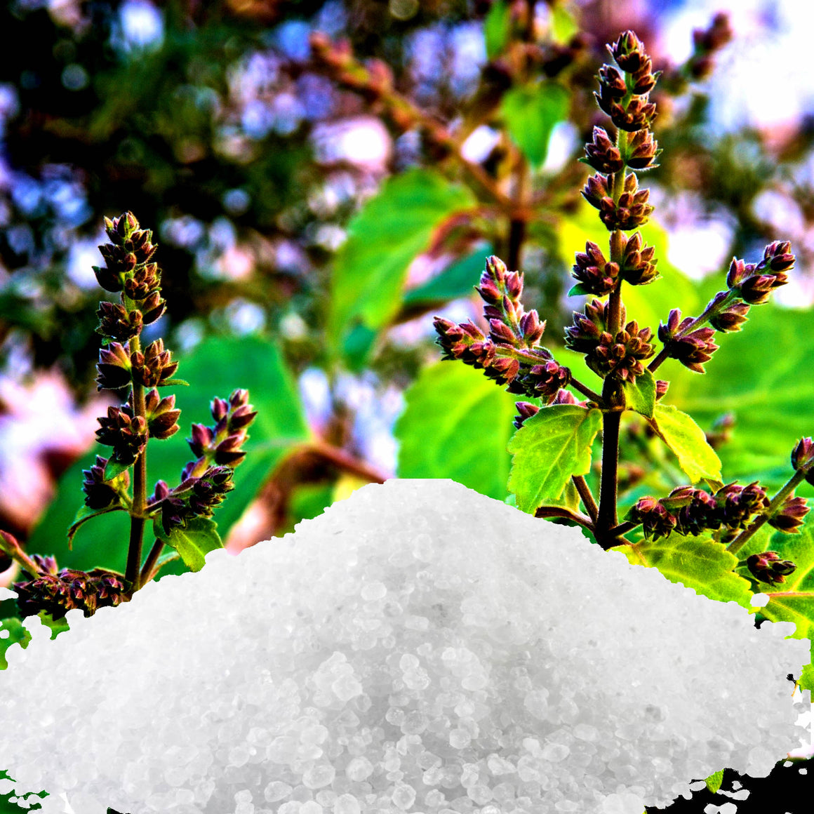 Patchouli & Lavender Bath Salts/Bath Soak/Bath Crystals