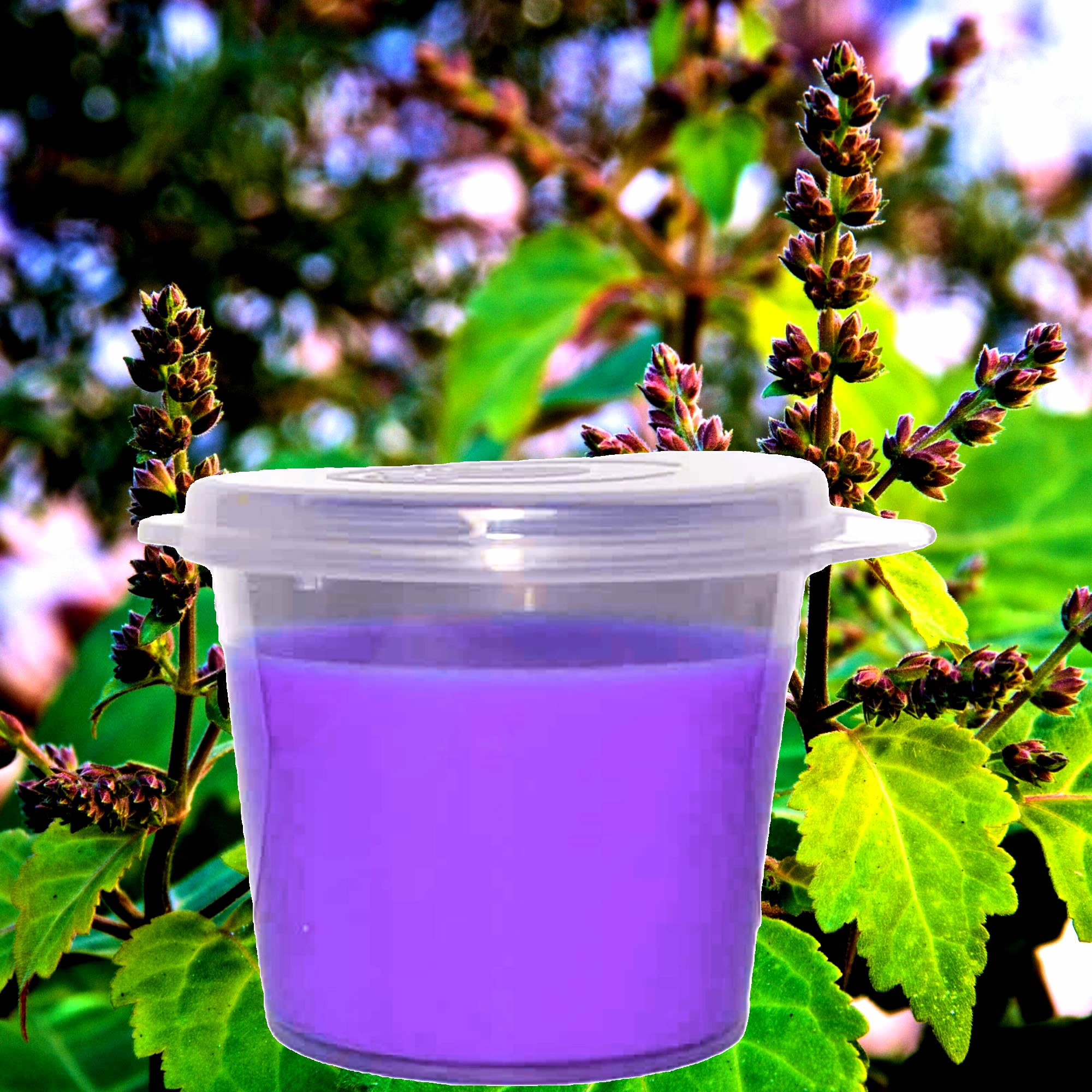 Patchouli & Lavender Soy Candle Melt Shot Pots – Plant-Based, Vegan, Cruelty-Free, Hand-Poured