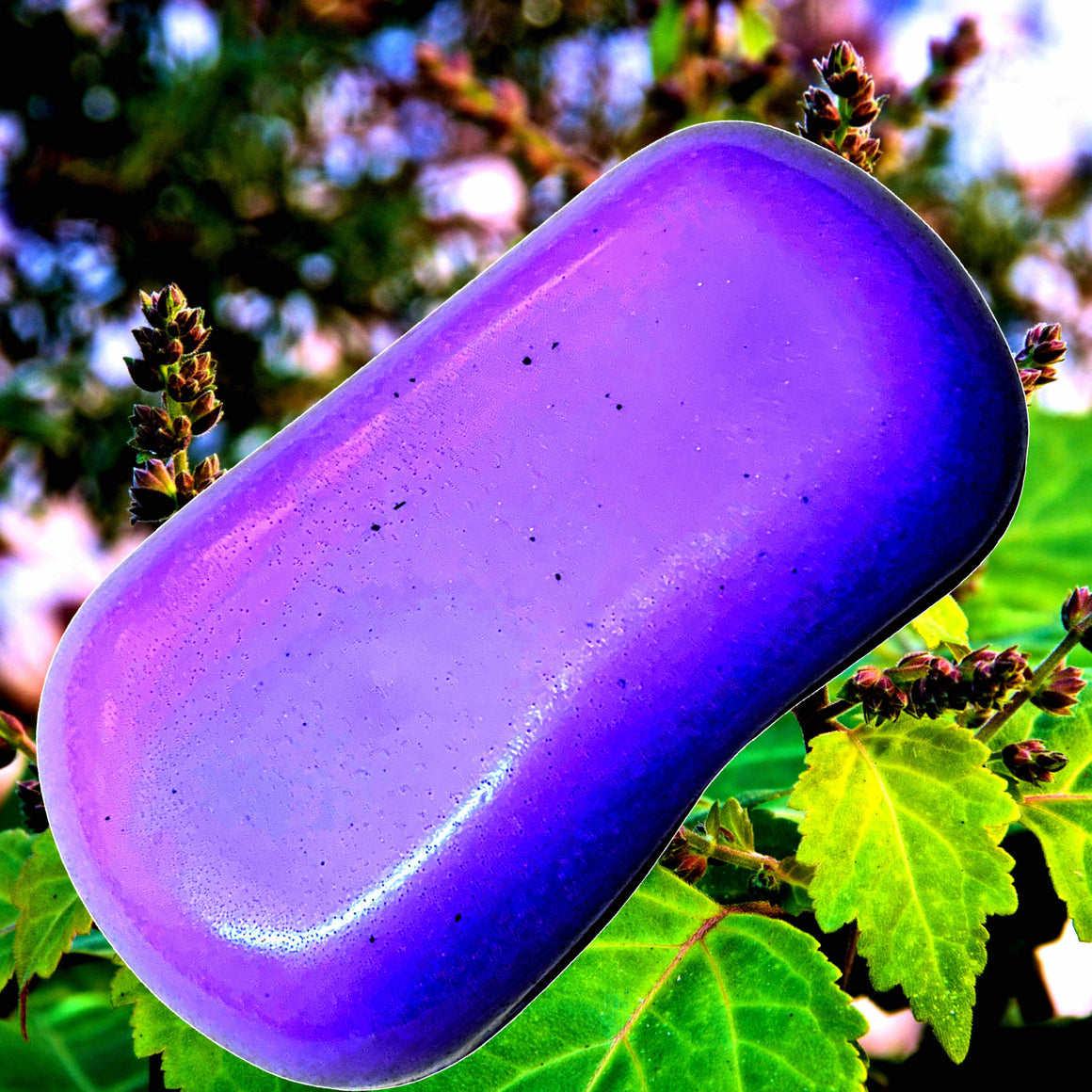 Patchouli & Lavender Vegan Soap Bars Plant-Based Cruelty-Free Handcrafted