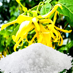 Patchouli & Ylang Ylang Bath Salts/Bath Soak/Bath Crystals