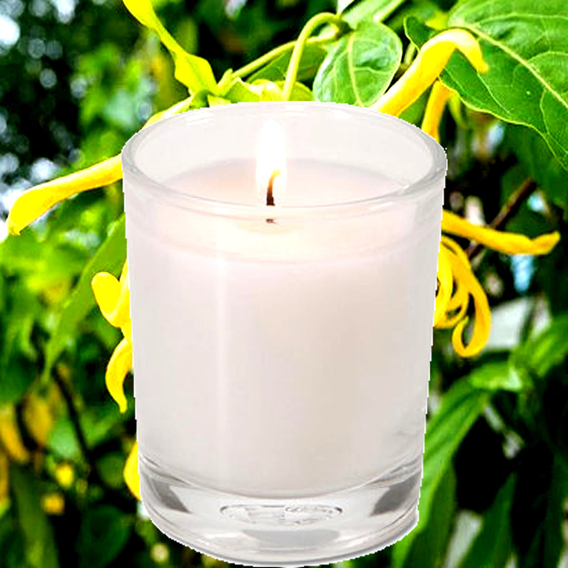 Patchouli & Ylang Ylang Eco Soy Votive Candles – Clean Burn, Plant-Based, Vegan & Pet Safe