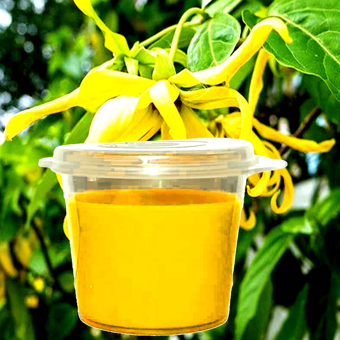 Patchouli & Ylang Ylang Soy Candle Melt Shot Pots – Plant-Based, Vegan, Cruelty-Free, Hand-Poured