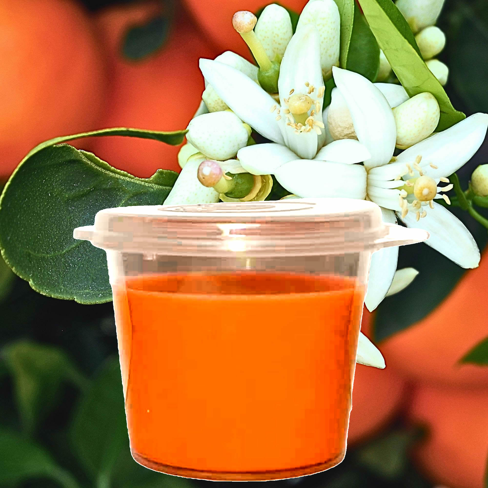 Patchouli Neroli Blossoms Soy Candle Melt Shot Pots – Plant-Based, Vegan, Cruelty-Free, Hand-Poured
