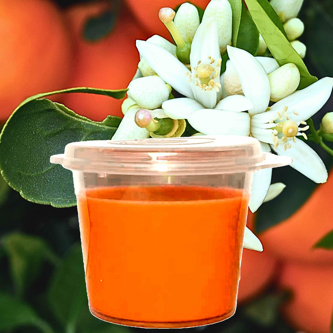 Patchouli Neroli Blossoms Soy Candle Melt Shot Pots – Plant-Based, Vegan, Cruelty-Free, Hand-Poured