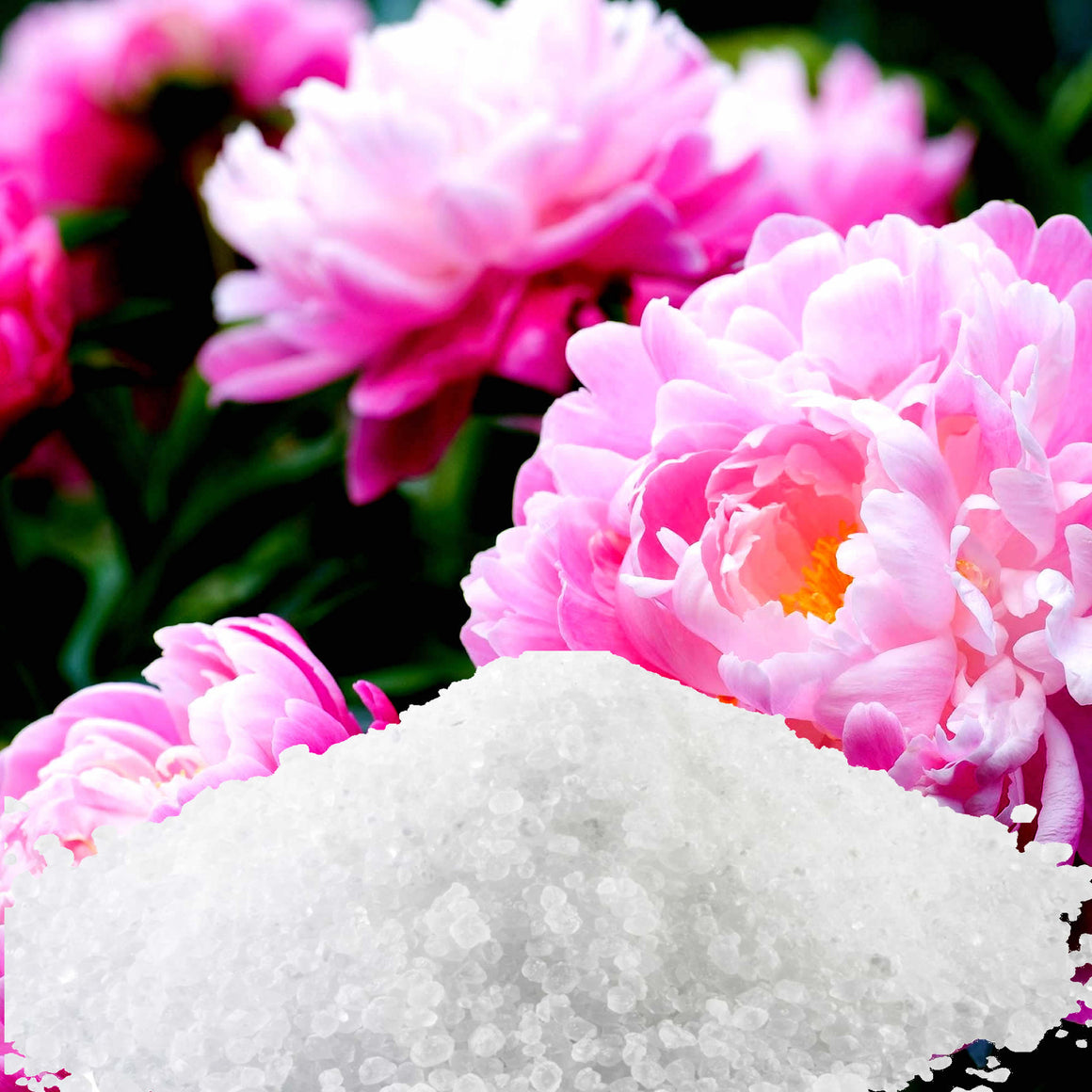 Peony Bath Salts/Bath Soak/Bath Crystals