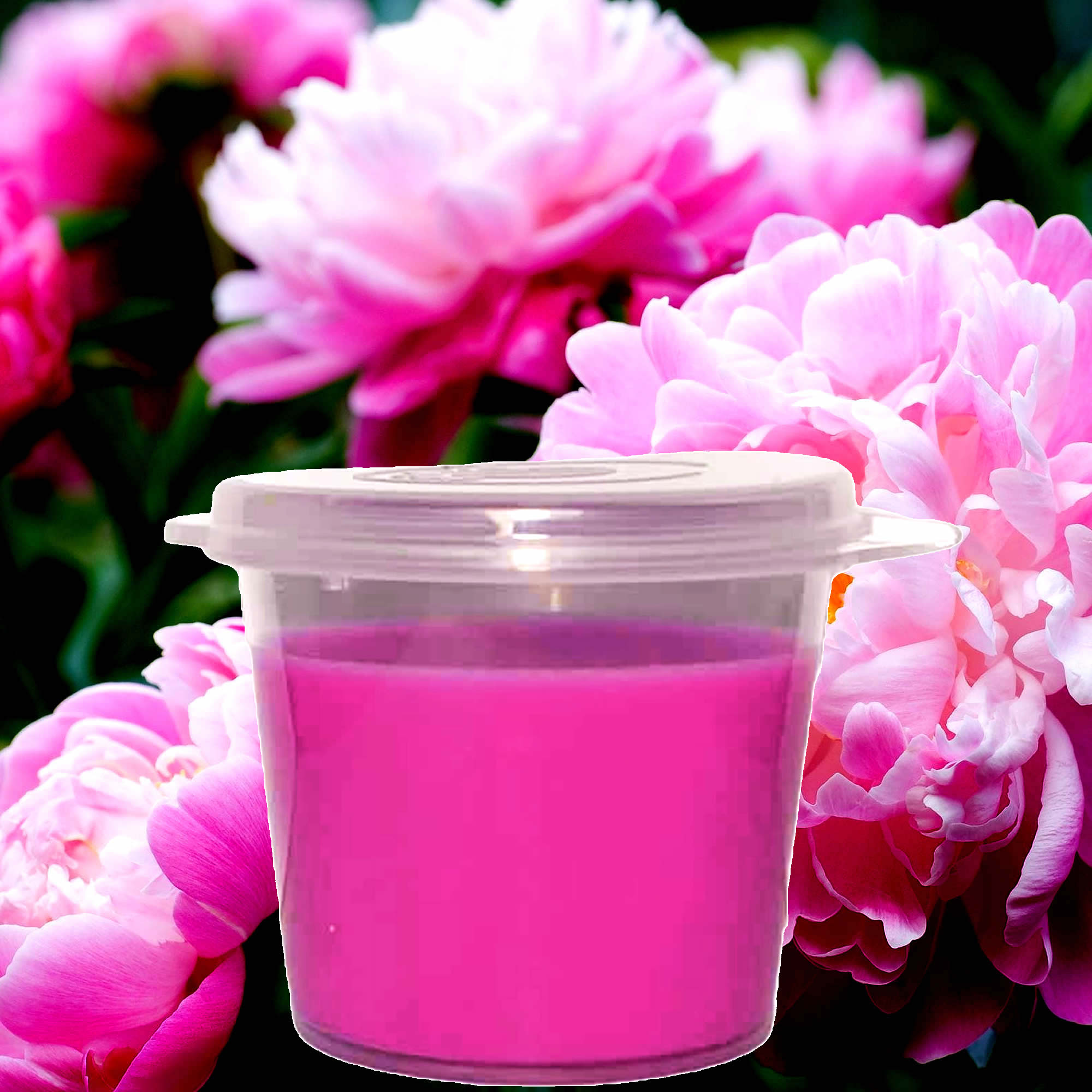 Peony Soy Candle Melt Shot Pots – Plant-Based, Vegan, Cruelty-Free, Hand-Poured