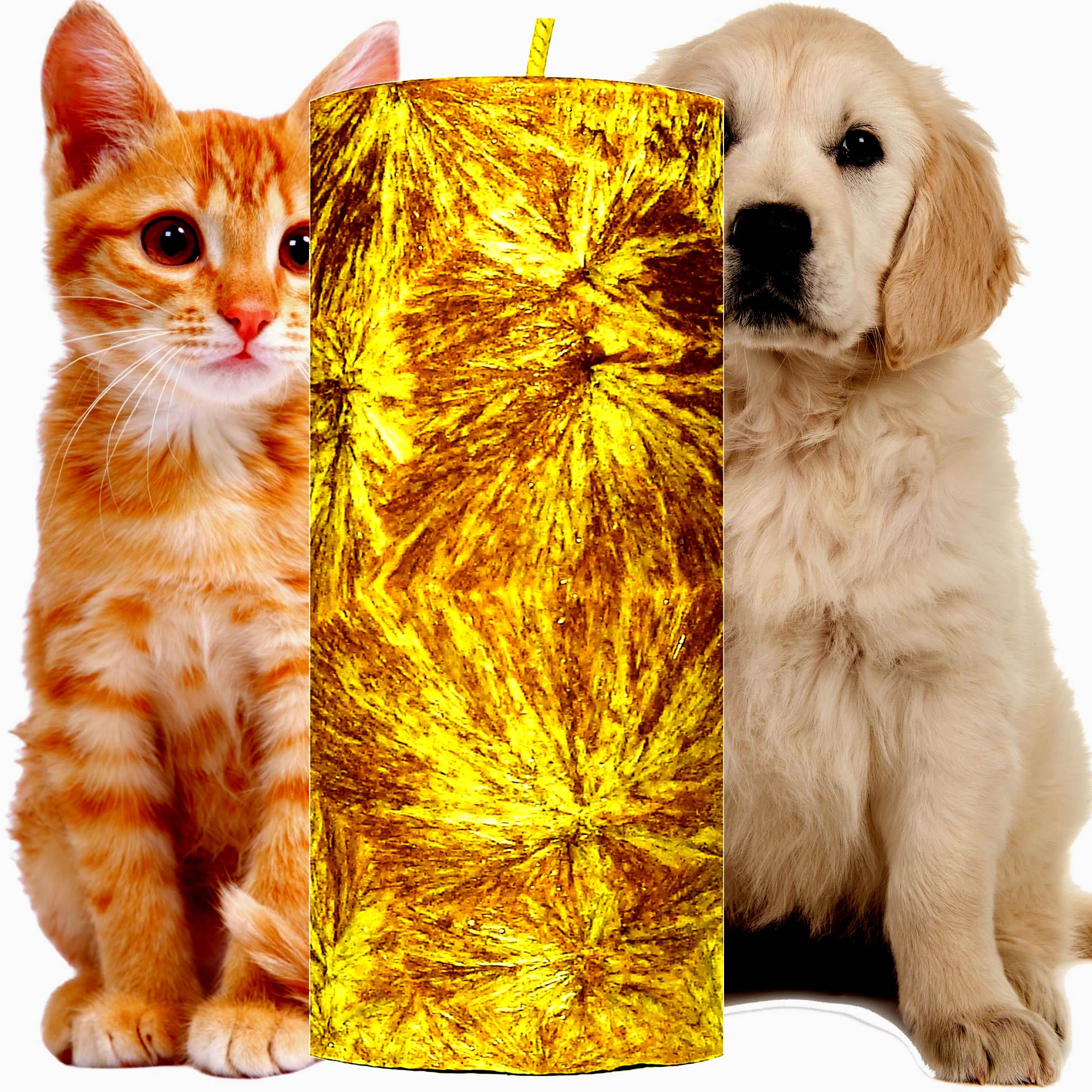 Pet Care Freshener Pillar Candle – Plant-Based, Eco-Friendly, Vegan, Cruelty Free