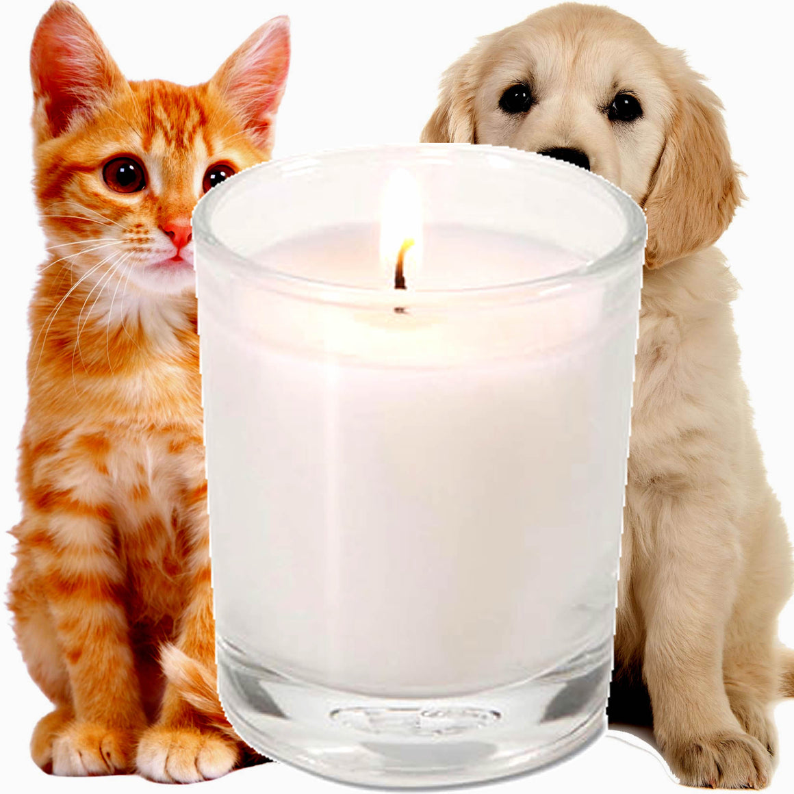 Pet Care Freshener Eco Soy Votive Candles – Clean Burn, Plant-Based, Vegan & Pet Safe