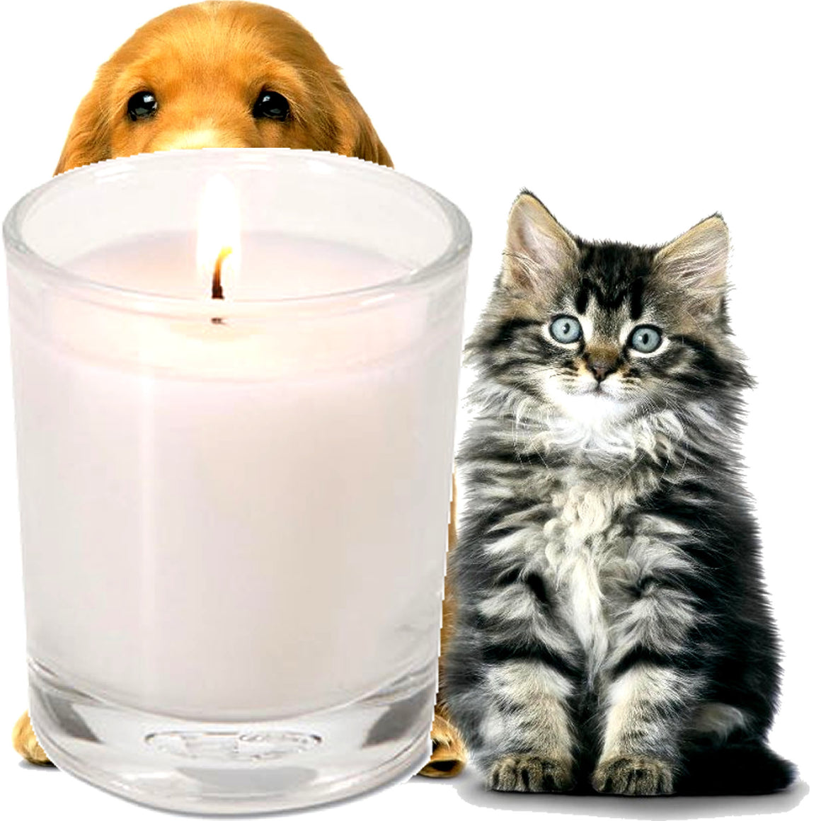 Pet Care Freshener Scented Eco Soy Votive Candles Hand Poured