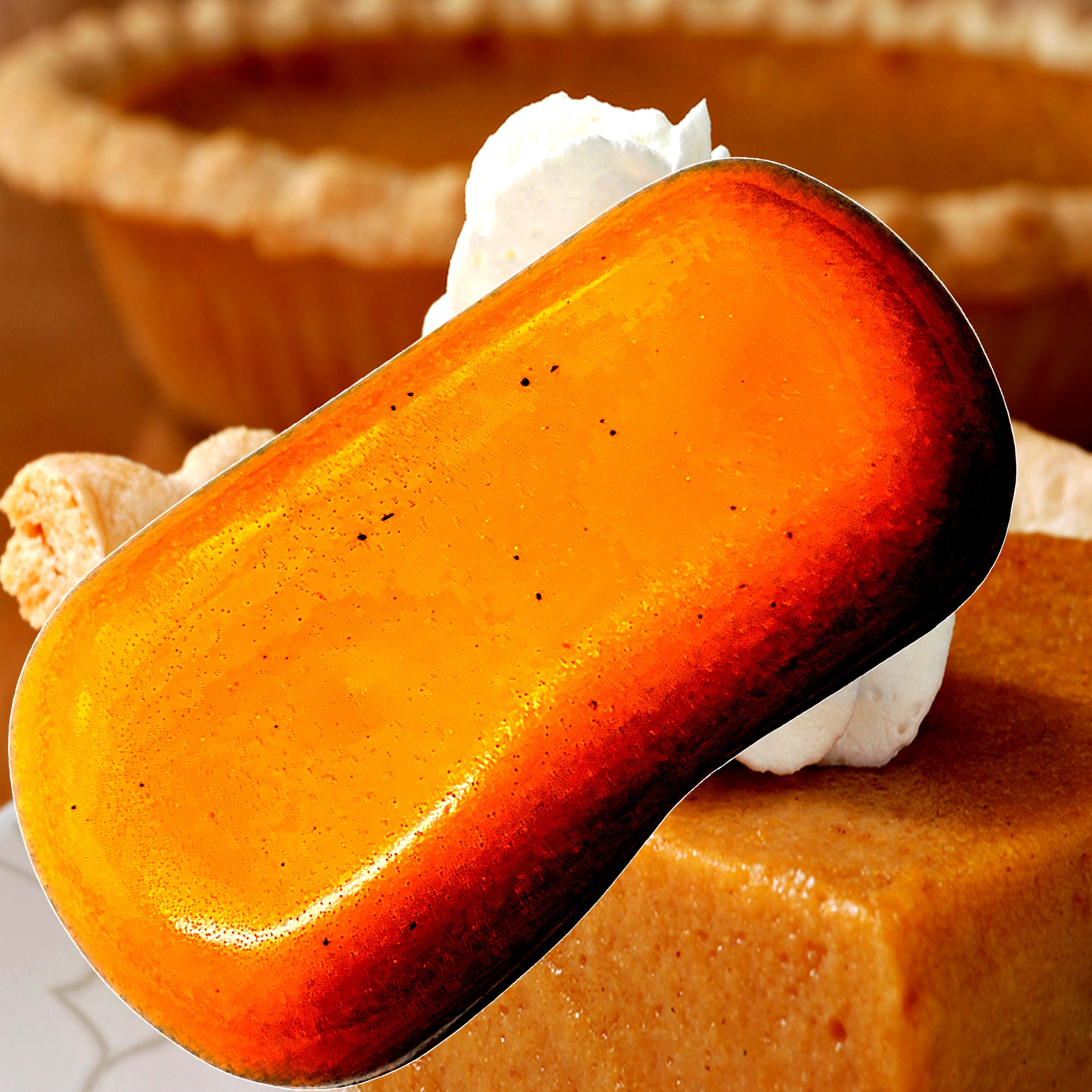 Pumpkin Pie Vegan Soap Bars Plant-Based Cruelty-Free Handcrafted