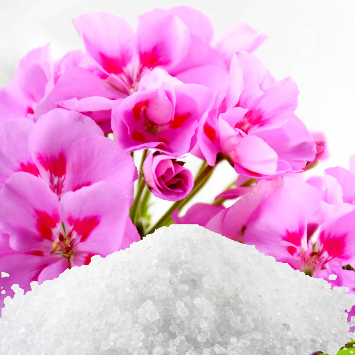 Rose Geranium Bath Salts/Bath Soak/Bath Crystals