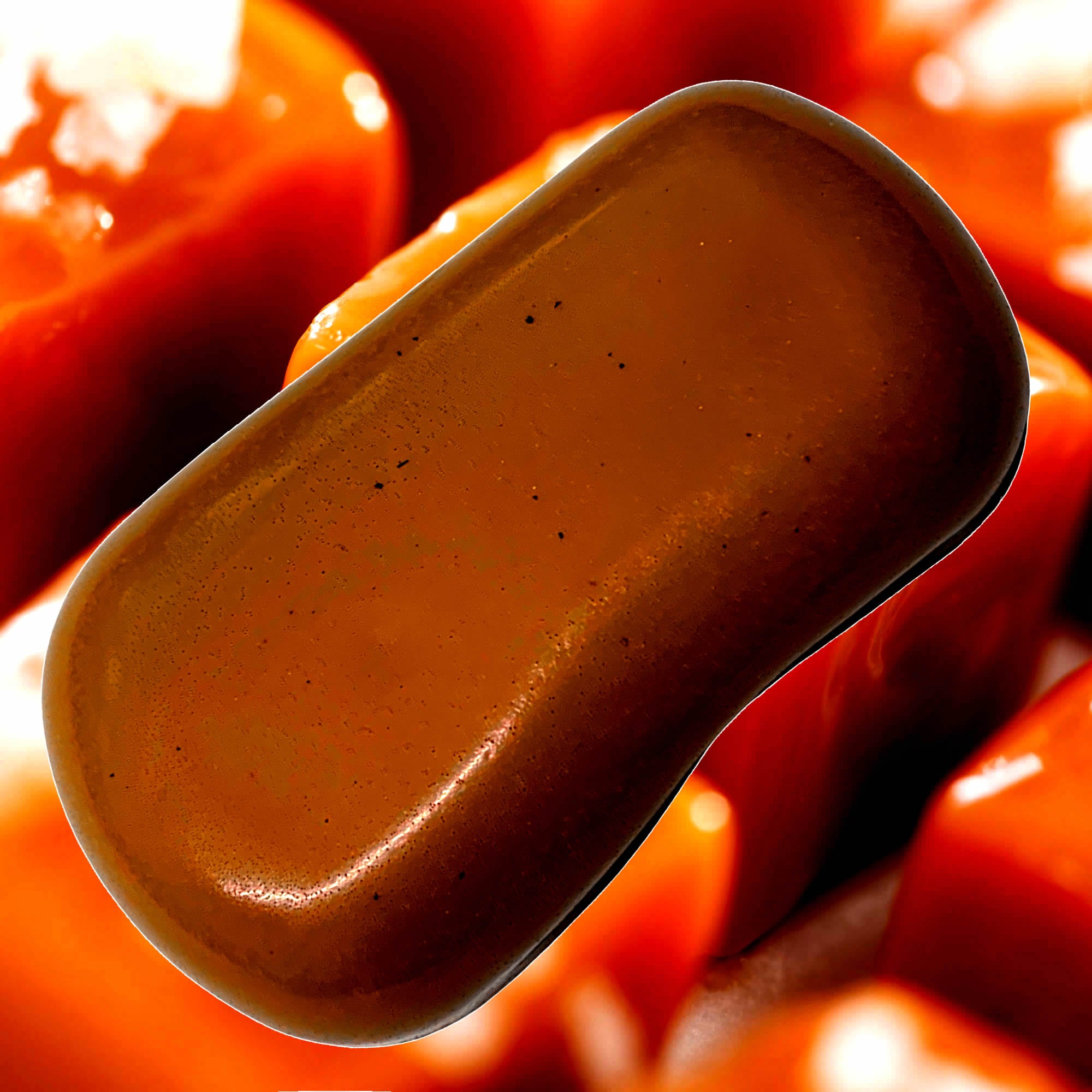 Salted Caramels Vegan Soap Bars Plant-Based Cruelty-Free Handcrafted