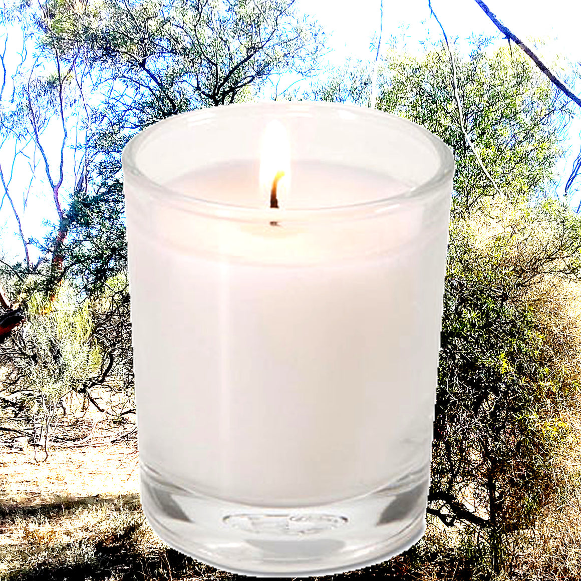 Sandalwood Citronella Eco Soy Votive Candles – Clean Burn, Plant-Based, Vegan & Pet Safe