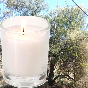 Sandalwood & Citronella Scented Eco Soy Votive Candles Hand Poured