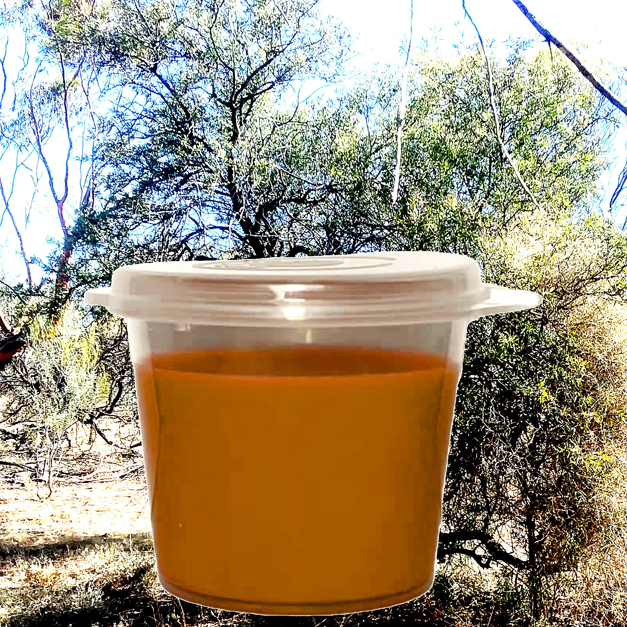 Sandalwood Citronella Soy Candle Melt Shot Pots – Plant-Based, Vegan, Cruelty-Free, Hand-Poured