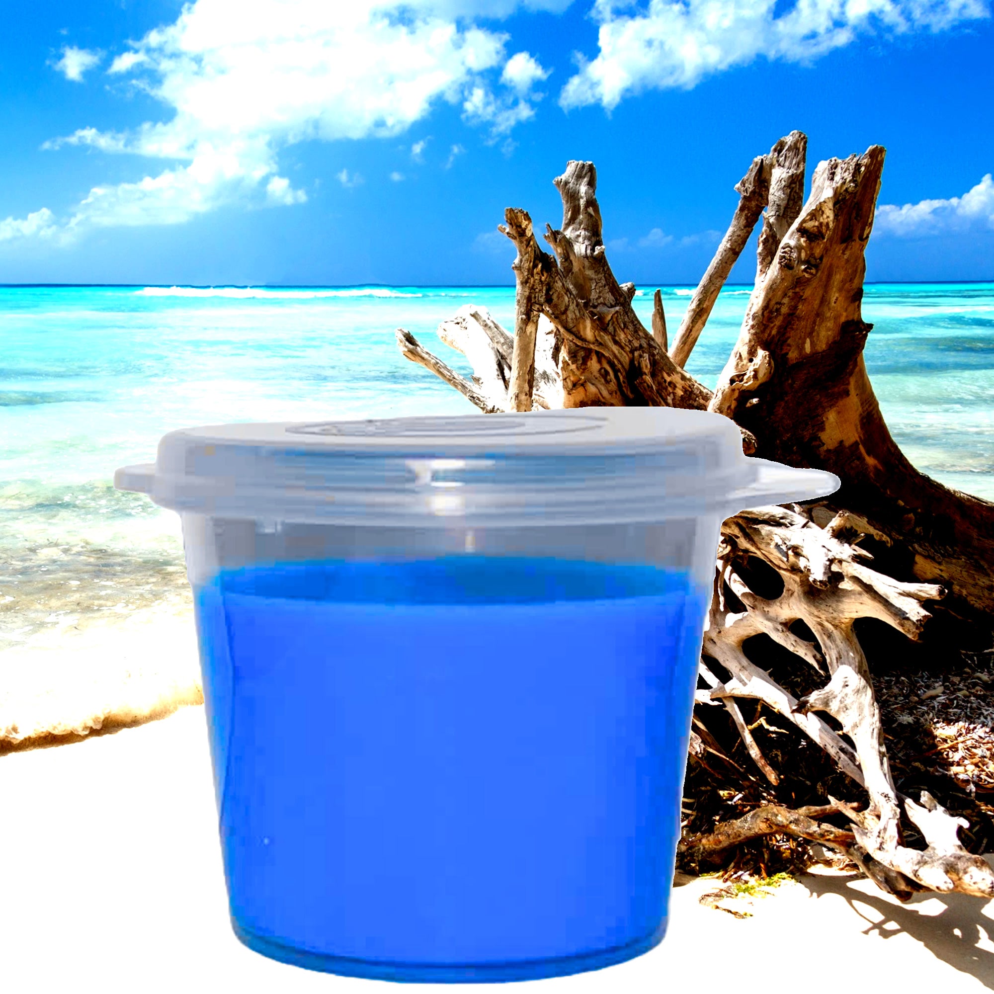 Sea Foam & Balsam Soy Candle Melt Shot Pots – Plant-Based, Vegan, Cruelty-Free, Hand-Poured