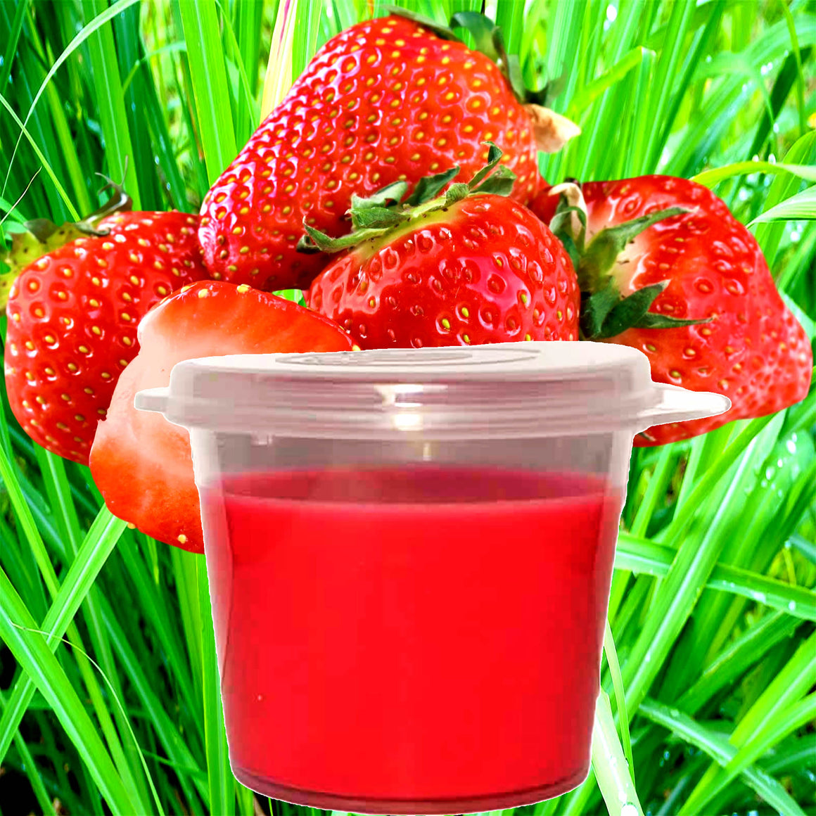 Strawberry Lemongrass Soy Candle Melt Shot Pots – Plant-Based, Vegan, Cruelty-Free, Hand-Poured