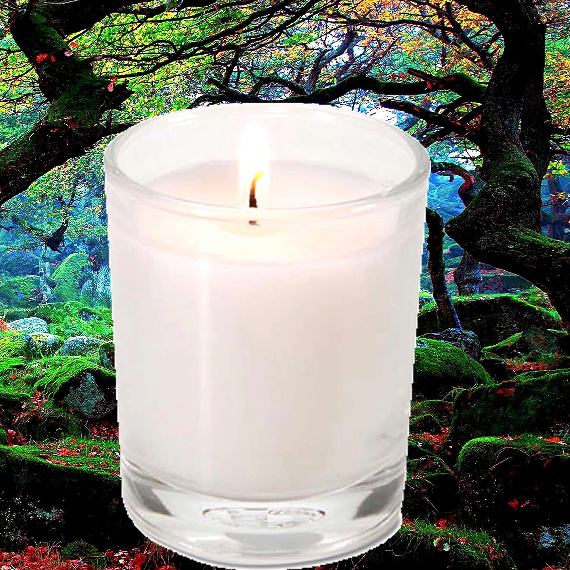 Suede Musk & Vetiver Eco Soy Votive Candles – Clean Burn, Plant-Based, Vegan & Pet Safe