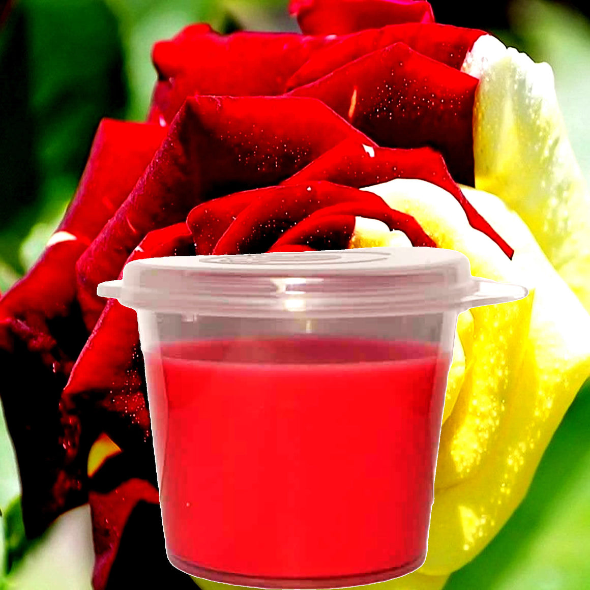 Tudor Rose & Amber Soy Candle Melt Shot Pots – Plant-Based, Vegan, Cruelty-Free, Hand-Poured