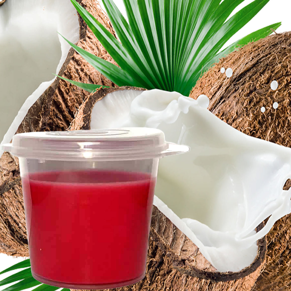 Vanilla Coconut Eco Soy Shot Pot Candle Melts