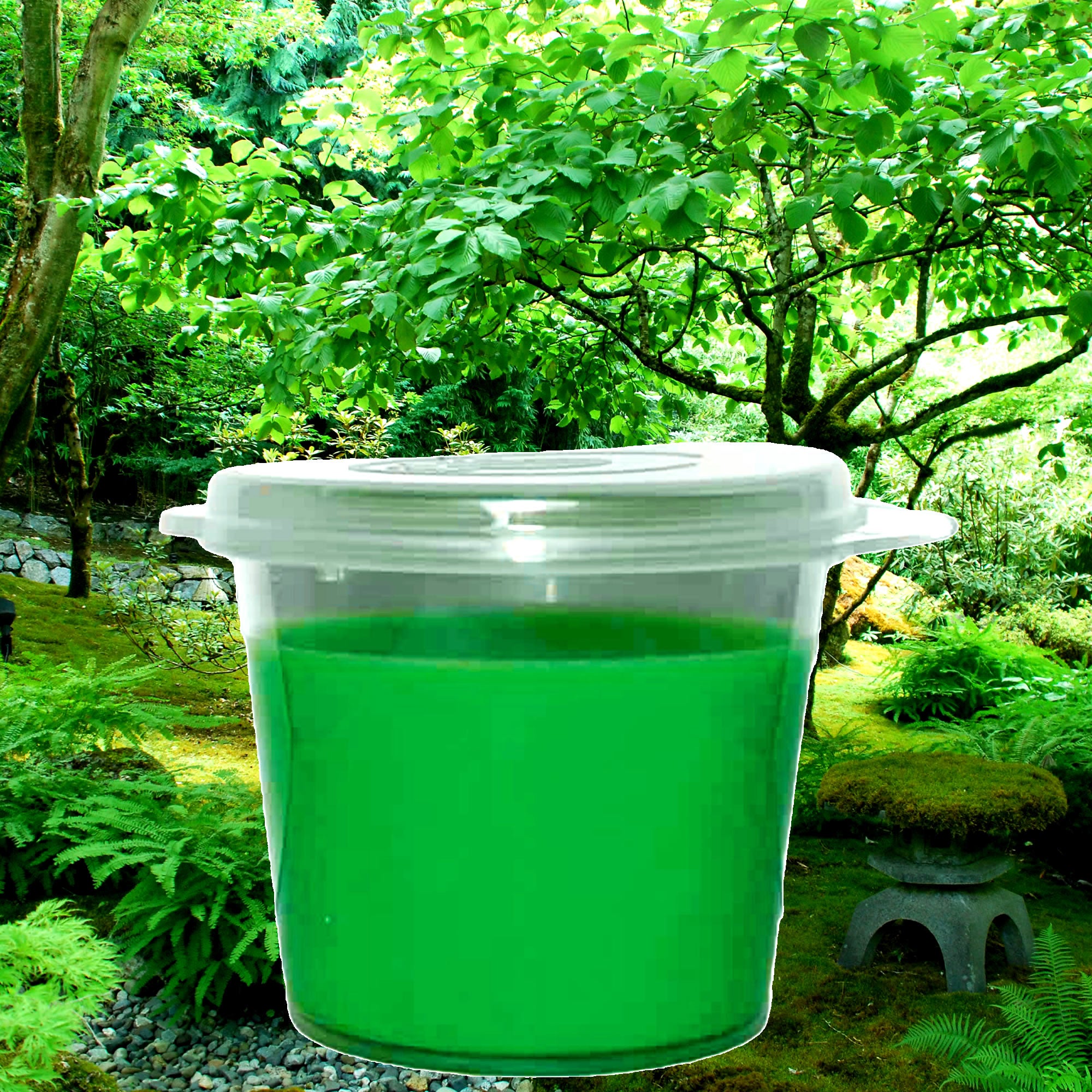 Velvet Moss Soy Candle Melt Shot Pots – Plant-Based, Vegan, Cruelty-Free, Hand-Poured