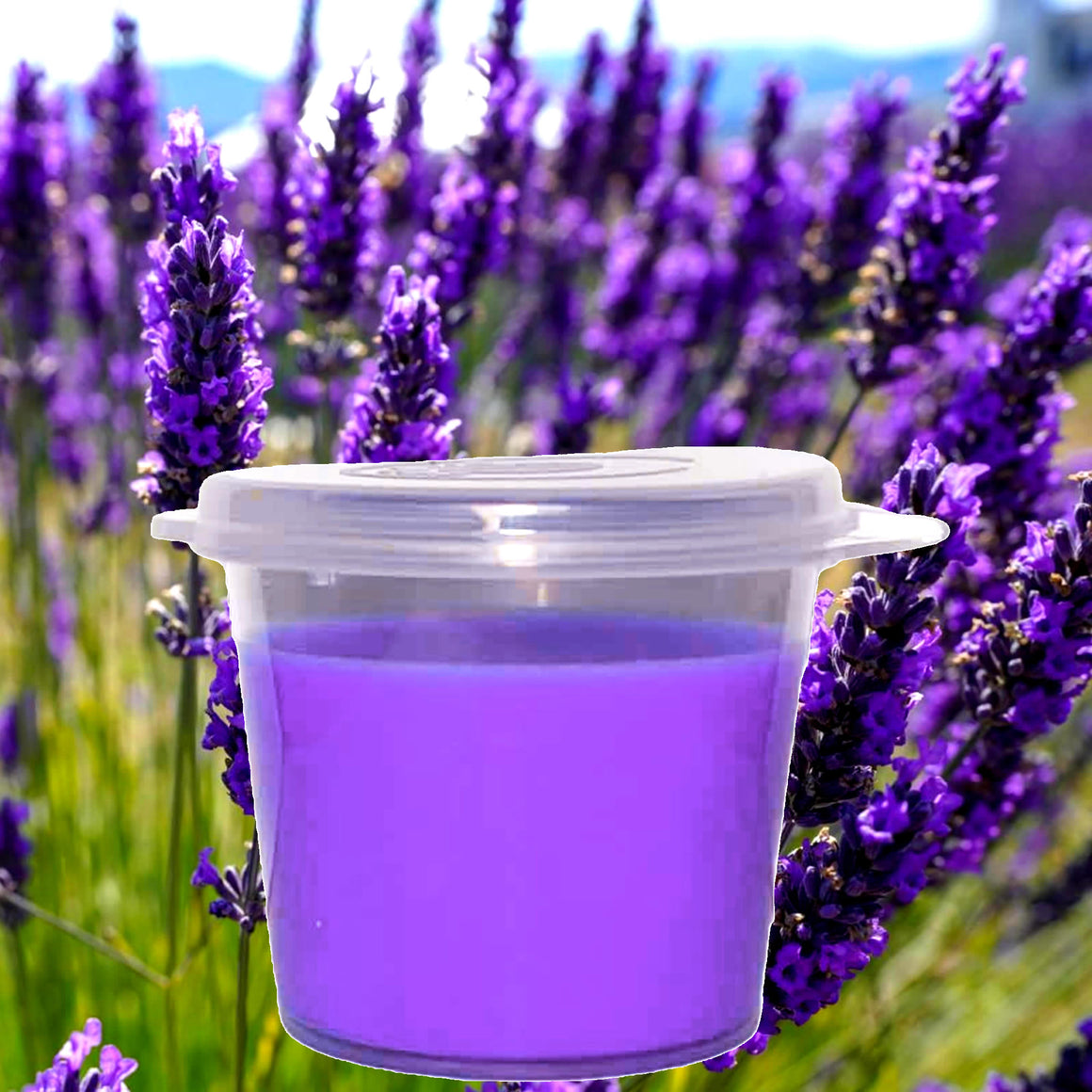 Vetiver & Lavender eco soy wax melts – vegan, cruelty-free featuring floral lavender and earthy vetiver, handmade in Australia.