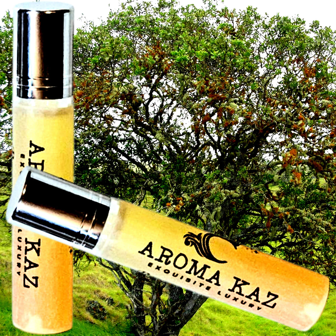 Vetiver & Sandalwood Fragrance Roll On – vegan, cruelty-free perfume roll on featuring deep vetiver and warm sandalwood, handmade in Australia.