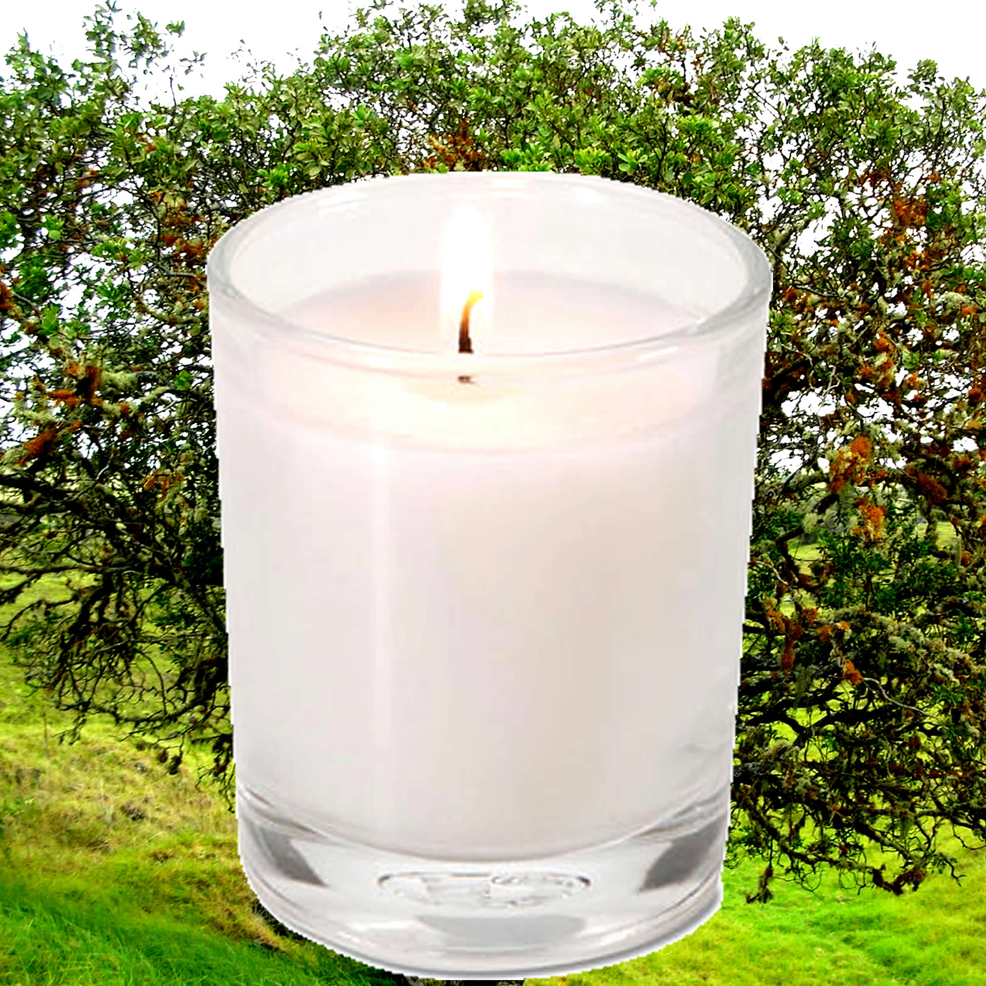 Vetiver & Sandalwood Eco Soy Votive Candles – Clean Burn, Plant-Based, Vegan & Pet Safe