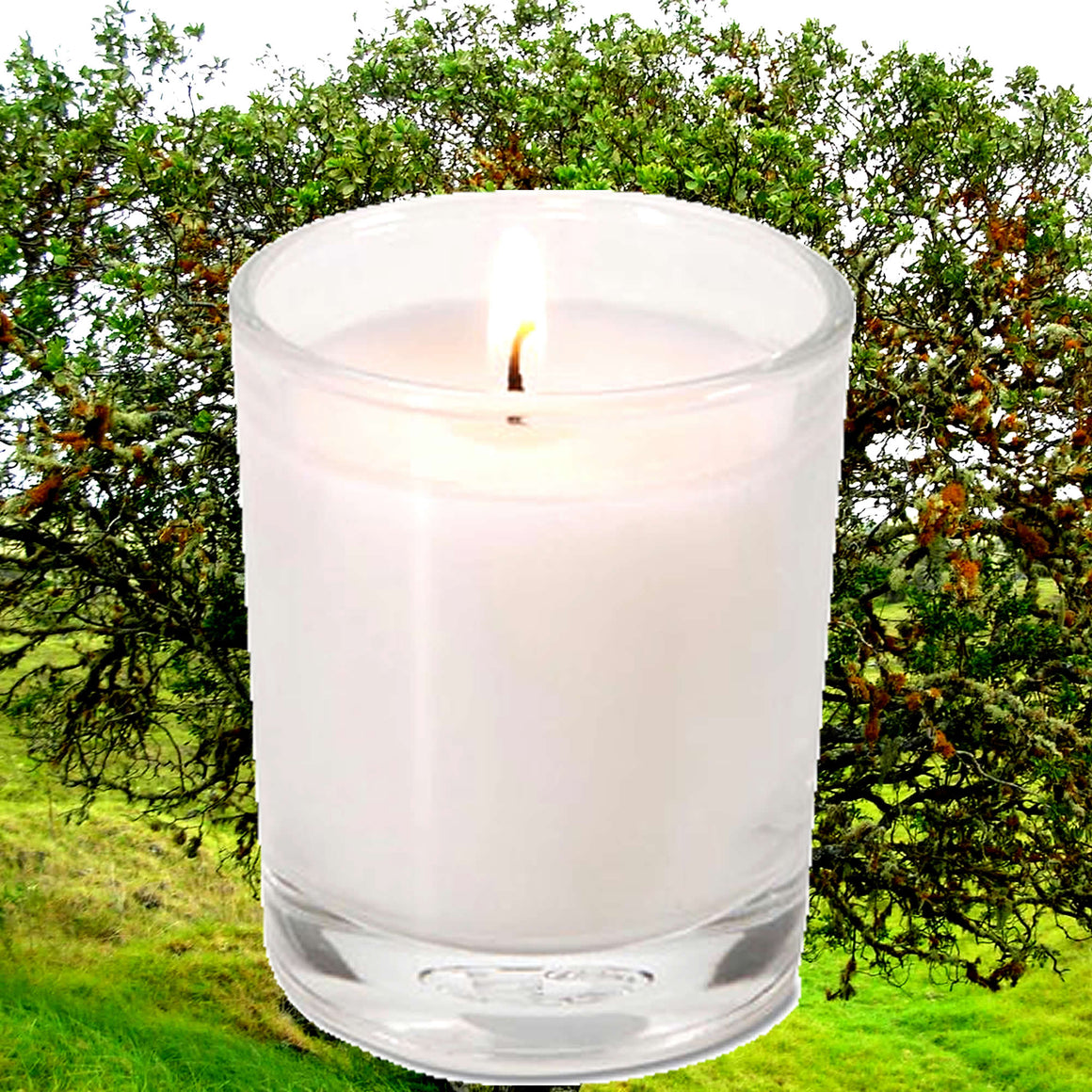 Vetiver & Sandalwood Eco Soy Votive Candles – Clean Burn, Plant-Based, Vegan & Pet Safe