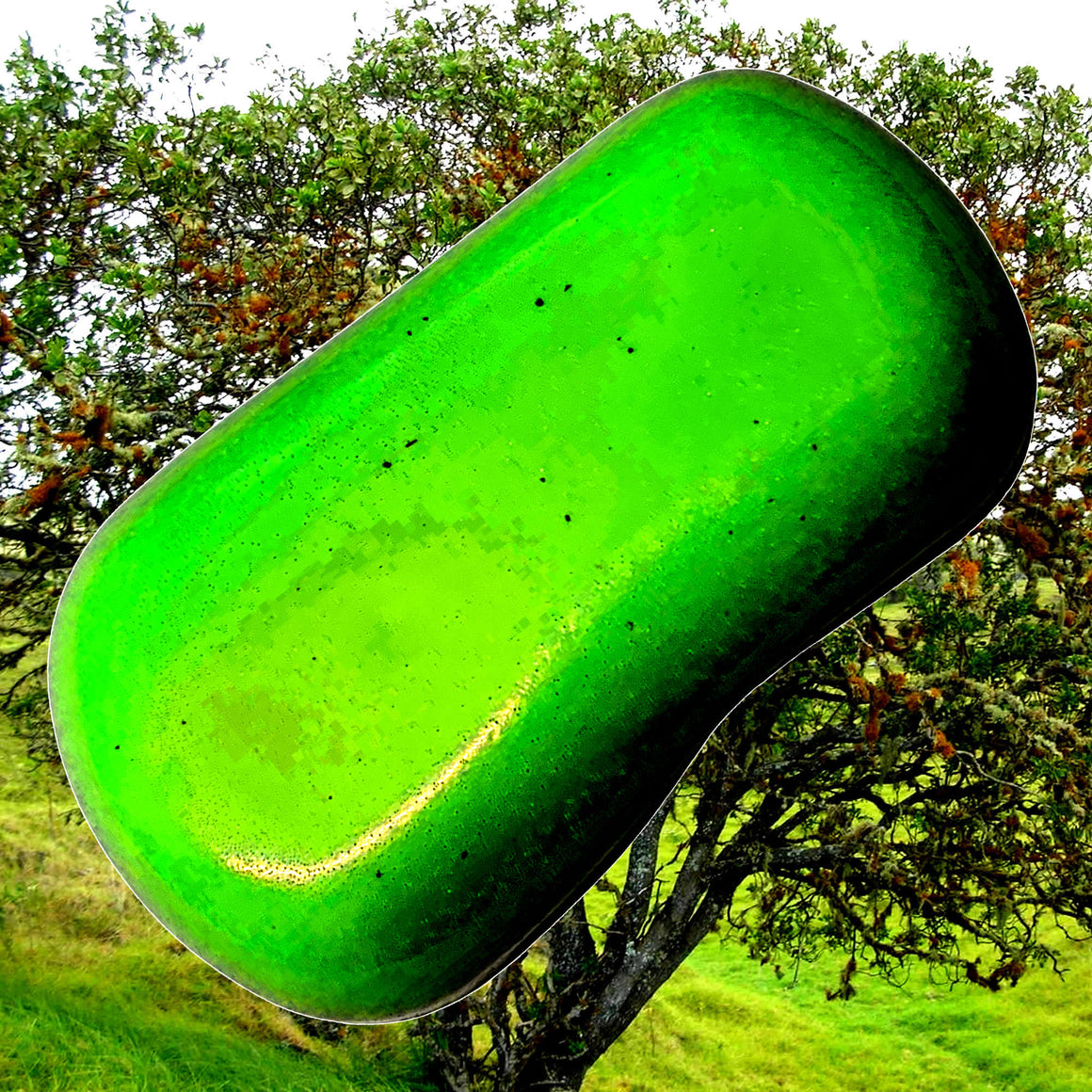 Vetiver & Sandalwood Vegan Soap Bars Plant-Based Cruelty-Free Handcrafted