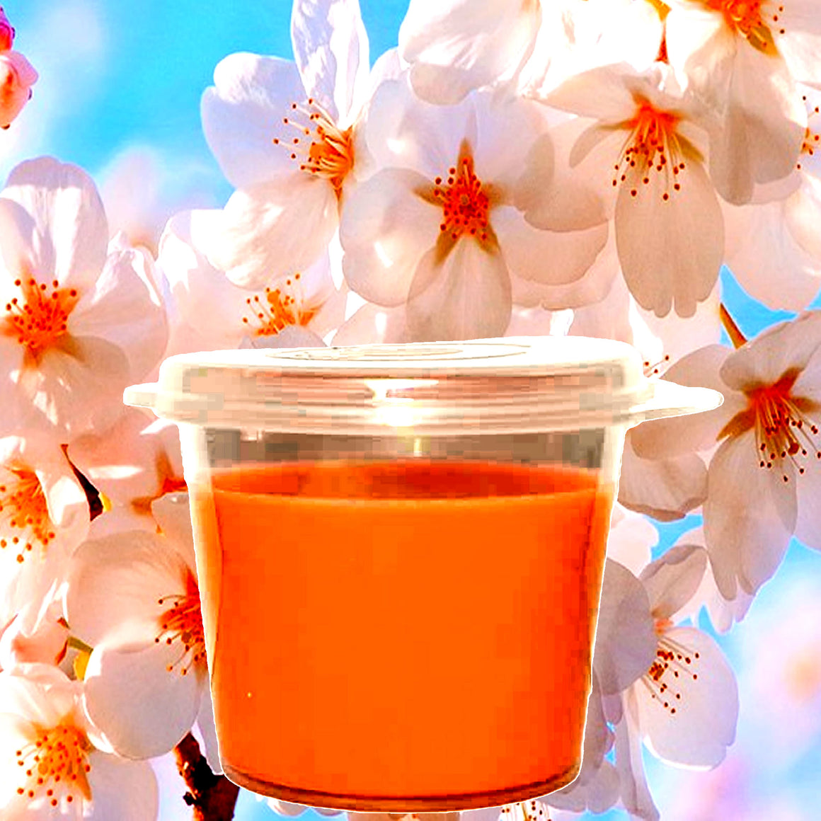 White Pepper Orange Blossoms Soy Candle Melt Shot Pots – Plant-Based, Vegan, Cruelty-Free, Hand-Poured