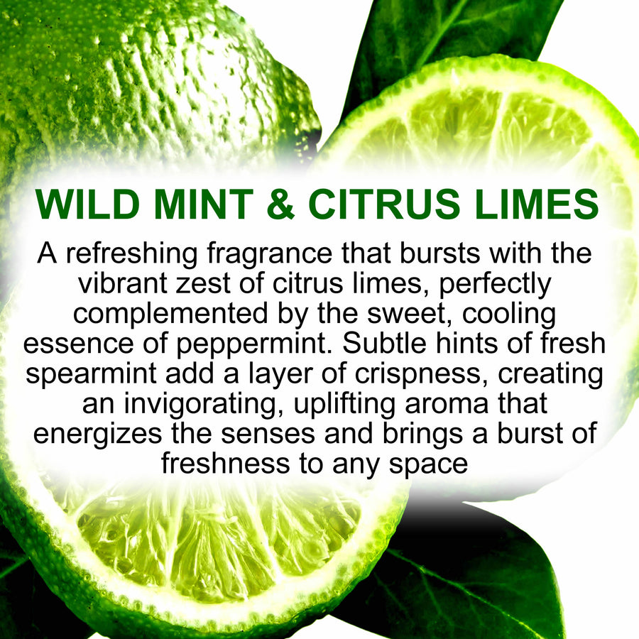 Wild Mint & Citrus Limes Eco Soy Votive Candles – Clean Burn, Plant-Based, Vegan & Pet Safe