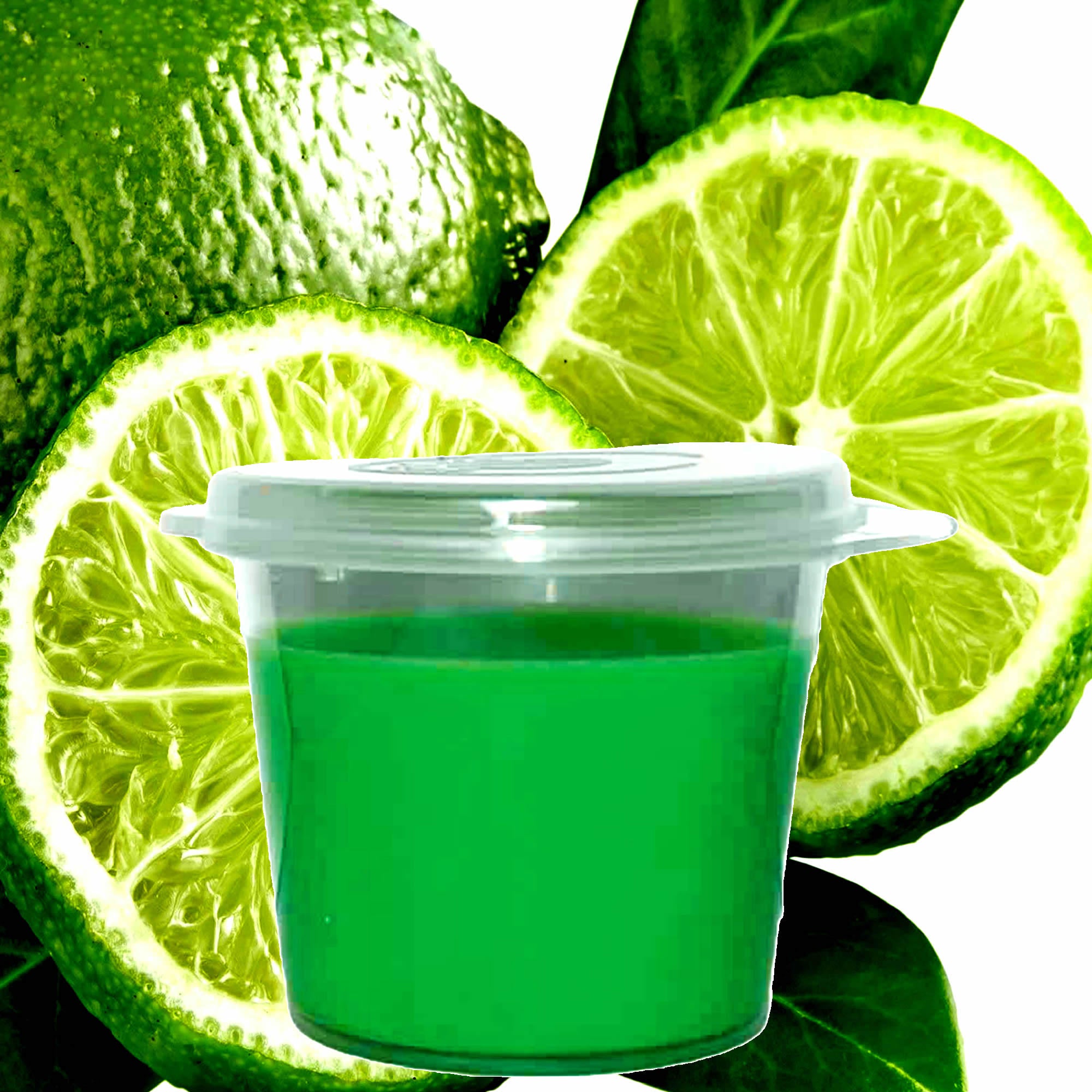 Wild Mint & Citrus Limes Soy Candle Melt Shot Pots – Plant-Based, Vegan, Cruelty-Free, Hand-Poured