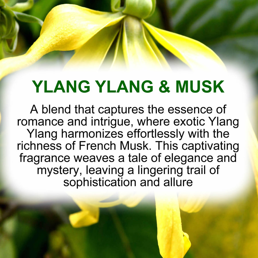 Ylang Ylang & Musk Body Massage Oil – vegan, cruelty-free, plant-based hydrating oil with sensual ylang ylang and exotic musk, handmade in Australia.