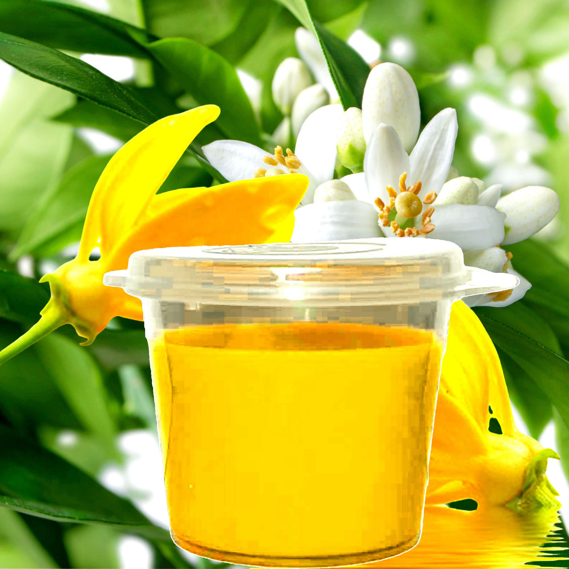 Ylang Ylang Neroli eco soy wax melts – vegan, cruelty-free featuring exotic ylang ylang and floral neroli blossoms, handmade in Australia.