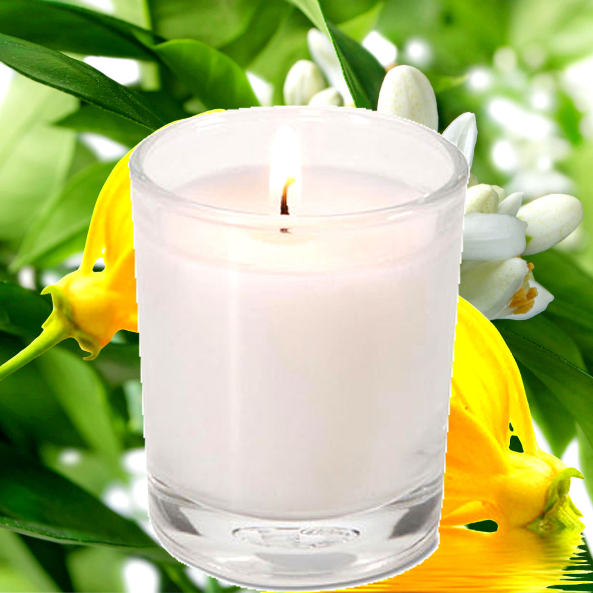 Ylang Ylang Neroli Scented Votive Candles eco soy plant based – vegan, cruelty-free featuring exotic ylang ylang and floral neroli blossoms, handmade in Australia.