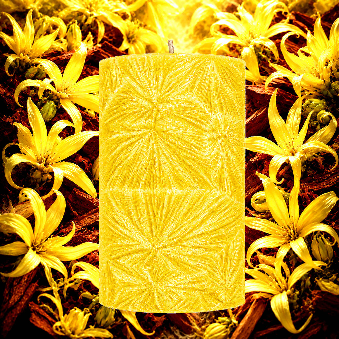 Ylang Ylang & Sandalwood Pillar Candle