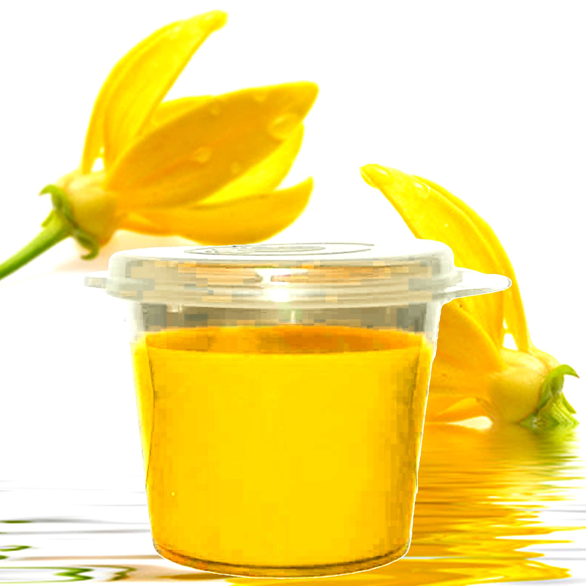 Ylang Ylang & Musk Soy Candle Melt Shot Pots – Plant-Based, Vegan, Cruelty-Free, Hand-Poured