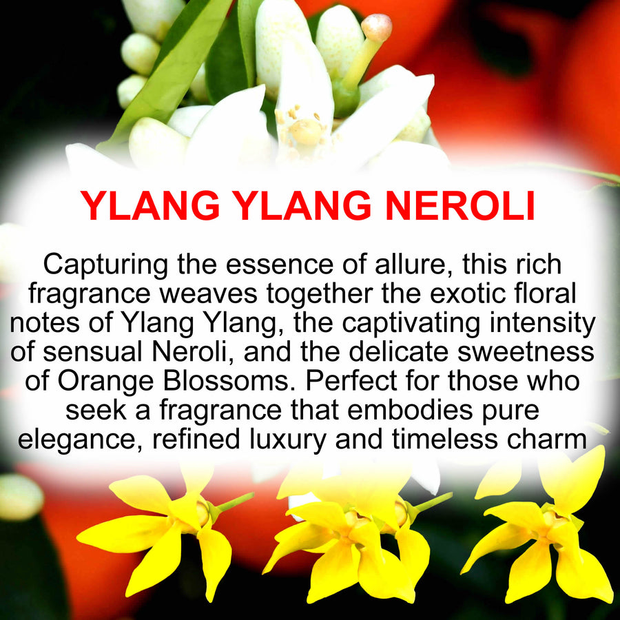 Ylang Ylang Neroli Diffuser Fragrance Oil with Reeds – Vegan Cruelty-Free Home Aroma