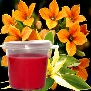 Ylang Ylang Neroli Blossoms Eco Soy Shot Pot Candle Melts