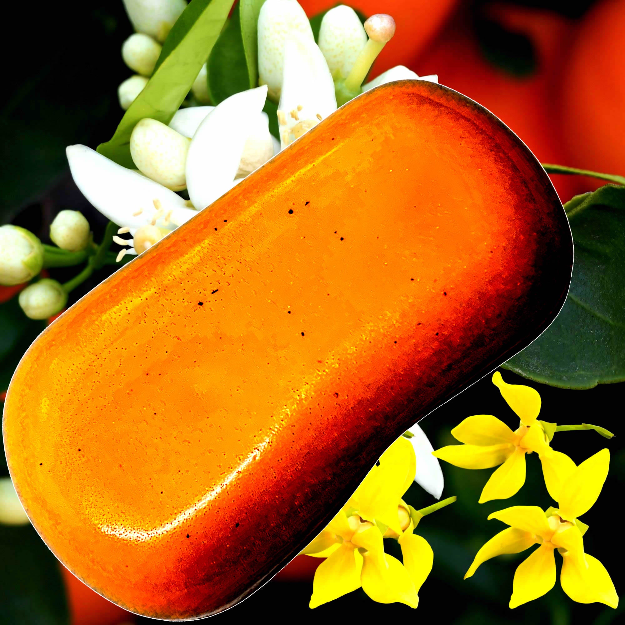 Ylang Ylang Neroli Vegan Soap Bars Plant-Based Cruelty-Free Handcrafted